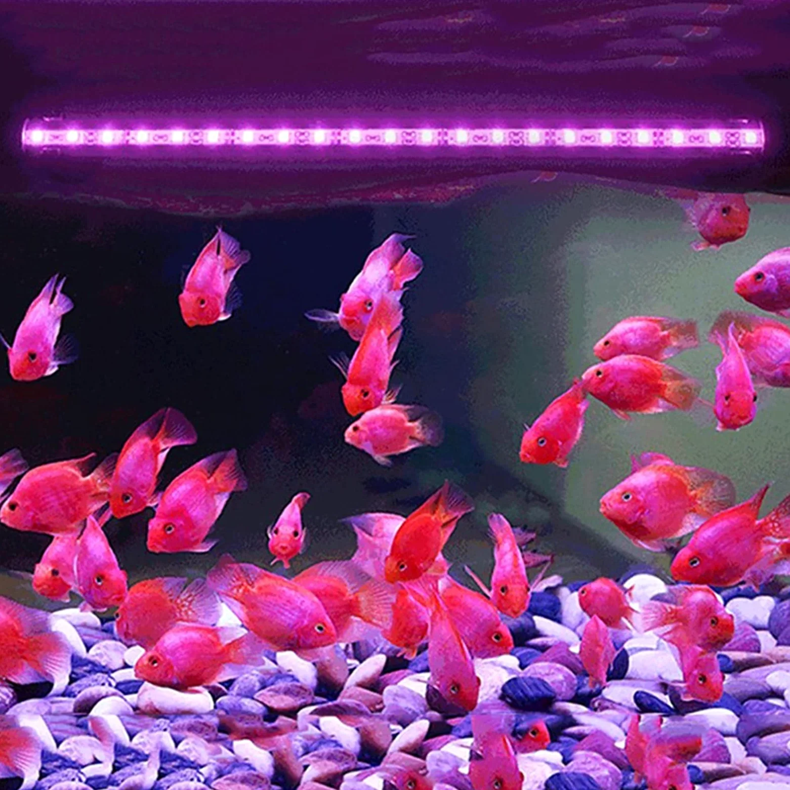 Luz para Piscina 1 8 cm 28 cm 38cm 48cm RGB Remoto DIRIGIÓ Tanque de pescado ligero acuario IP68 Impermeable 5050 SMD LED Luz de barra lámpara acuática sumergible Luces Sumergibles ( Color : 28CM US P