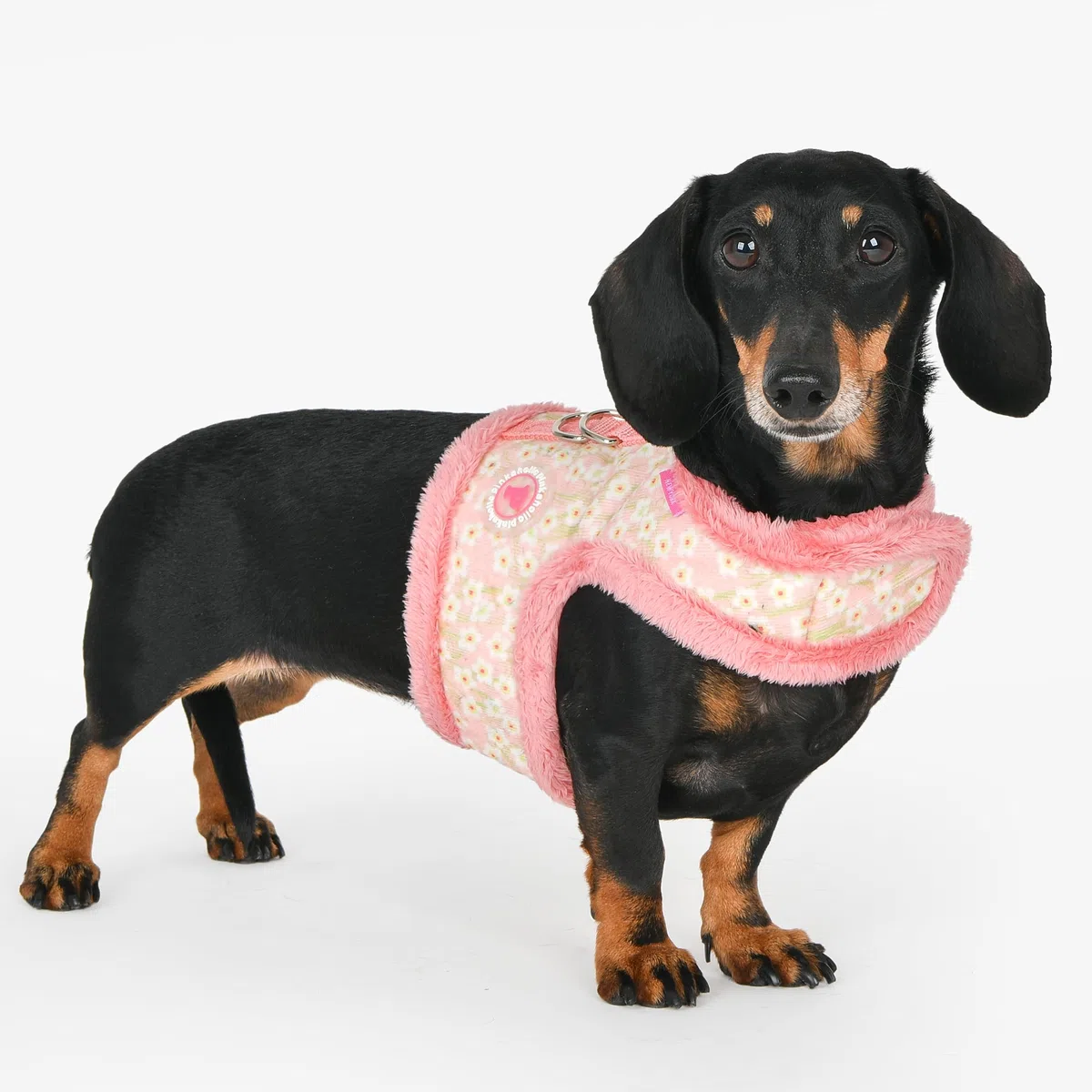 Pinkaholic New York Kalina PINKA Harness Rosa S Arnés para Perros