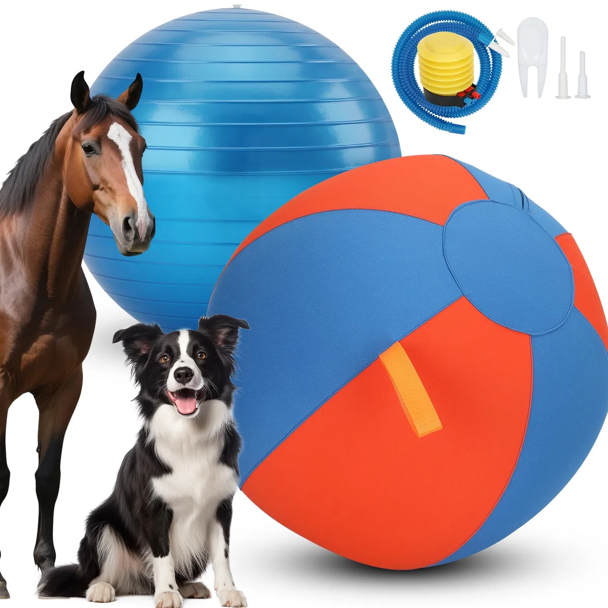 Pelota de pastoreo para perro