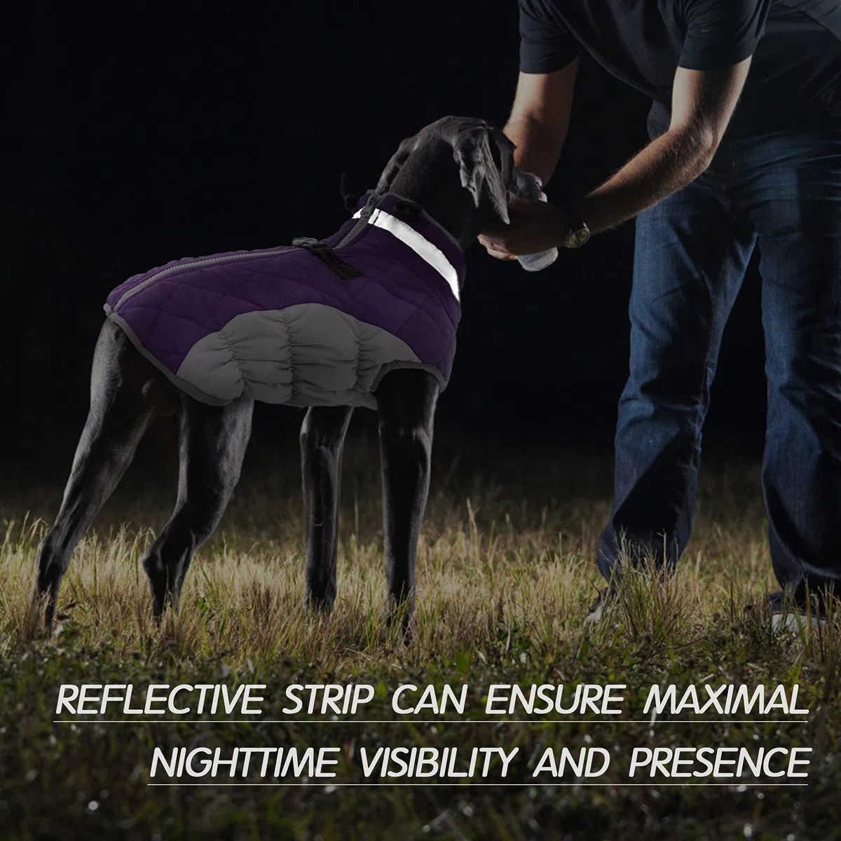 FUAMEY Chaleco acolchado para perro – Abrigo reflectante de invierno para perro, resistente al viento, chaqueta de invierno, cómoda ropa de perro para clima frío – Chaleco a prueba de nieve para
