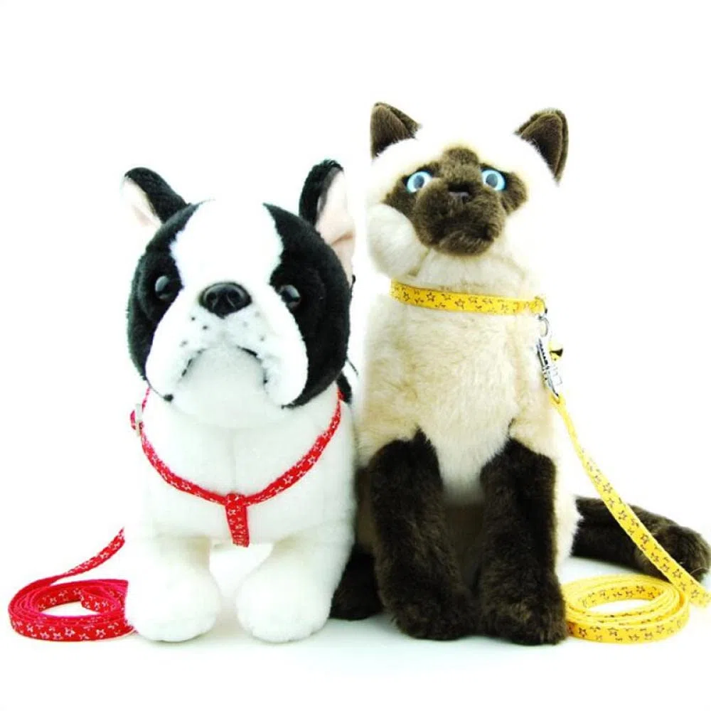 Conjunto de Correa for Perro, arnés Estampado, arnés y Correa for Perro pequeño, for pasear Gatos, 3 m,Bolso para Perros(2,M)