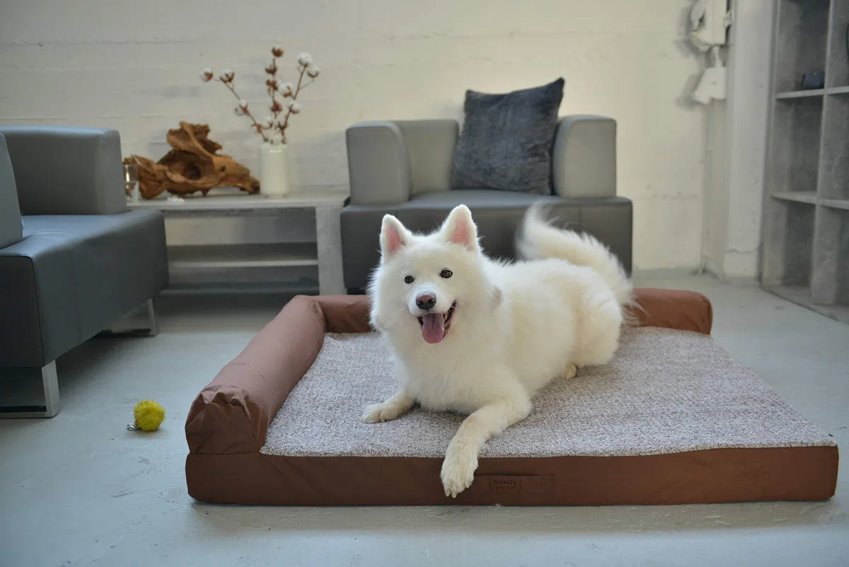 RAIKOU Cama Ortopédica para Perros Grandes,Sofá para Perros,Cama para Mascotas,Cama para Perro de Espuma viscoelástica,Desmontable y Lavable(Gris Mezclado,100 * 80cm)