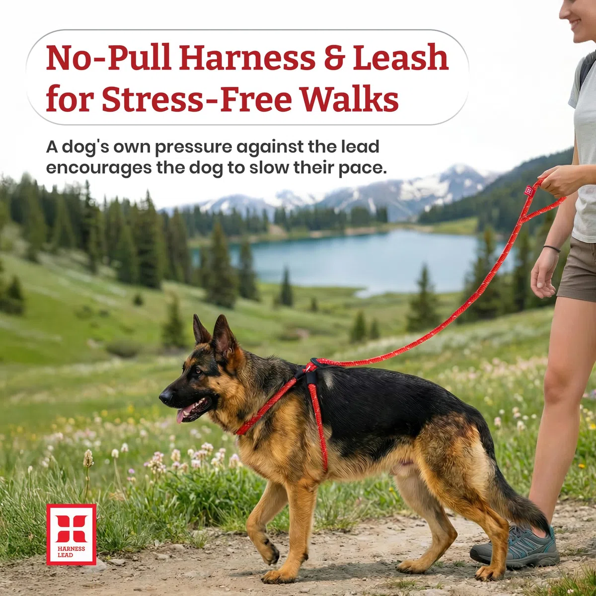 Harness Lead Juego de arnés y Correa para Perro sin tirones, arnés antitirones para Todas Las Razas y tamaños, diseño de Cuerda Acolchada de una Sola Pieza Que Evita Que se Escape y tirones (XL,