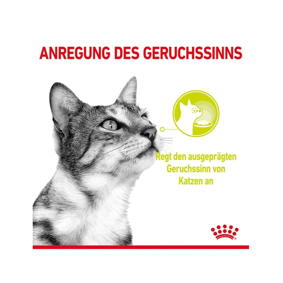 Royal Canin Sensory Multipack | Pack de 4 | 4 x 12 x 85 g | Alimento Completo para Gatos Adultos | Olor, Sabor, Sensación