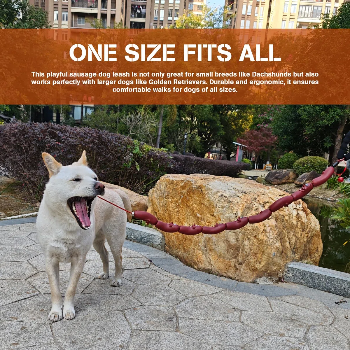 Correa divertida para perro salchicha, correa duradera para perros pequeños y medianos, cachorros, gatos y gatitos, perfecta para corgis y perros salchicha (rojo)