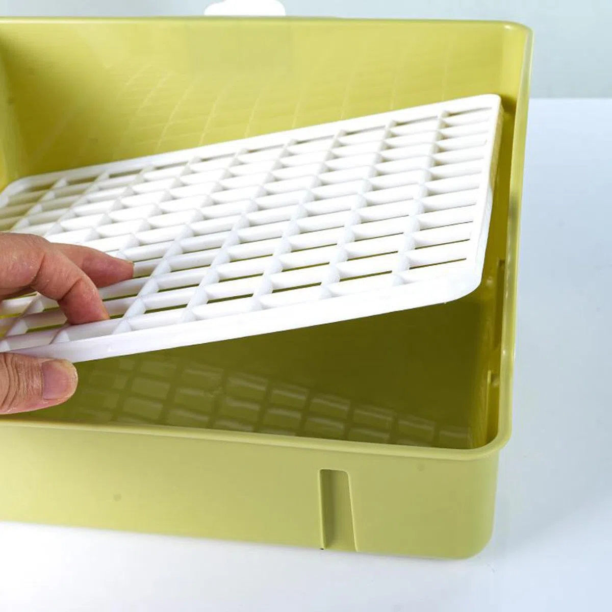 Baño para Loros, Ducha, Bañera para Pájaros, Dispensador de Agua, Grifo Circulador, Accesorios para Jaula para Jilgueros Y Loros, Verde