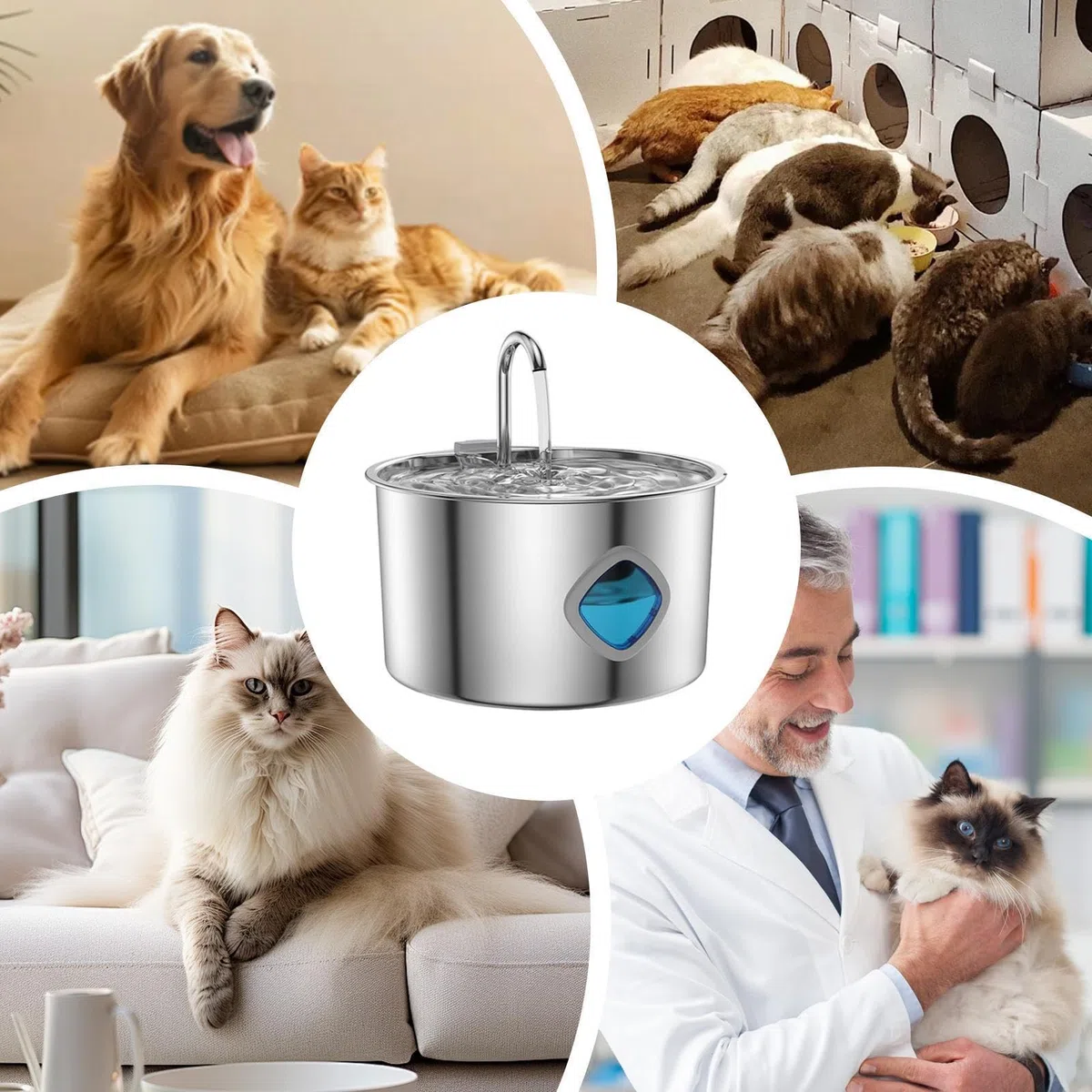 Fuente Agua Gatos Acero Inoxidable Dispensador Automático de Agua, , | 3,2 L Dispensador De Agua Para Gatos Y Perros Interior Cachorros Perros Raza Pequeña Mediana Y Grande