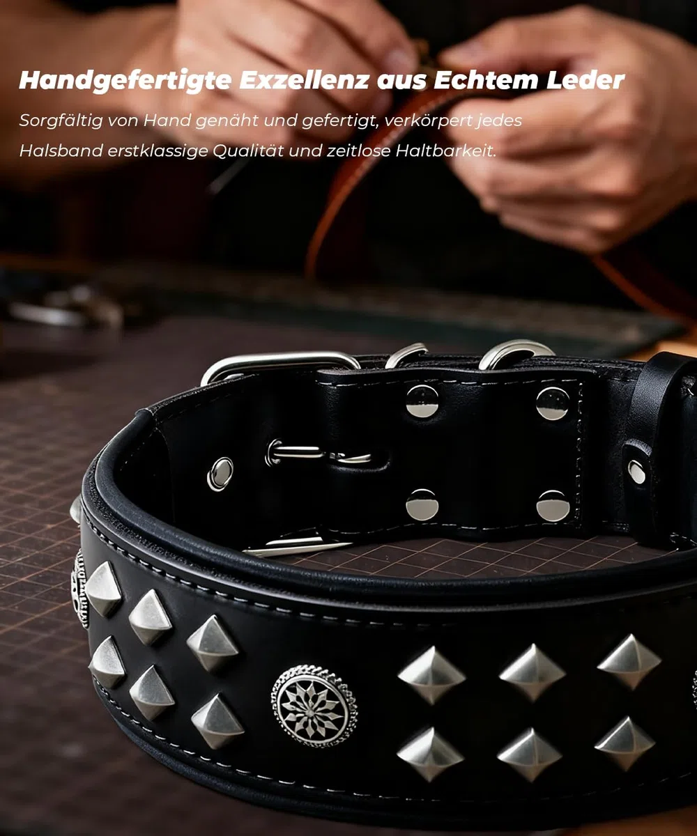 EliteGuard Collar de Perro Cuero 5,6 cm de ancho, Negro, M