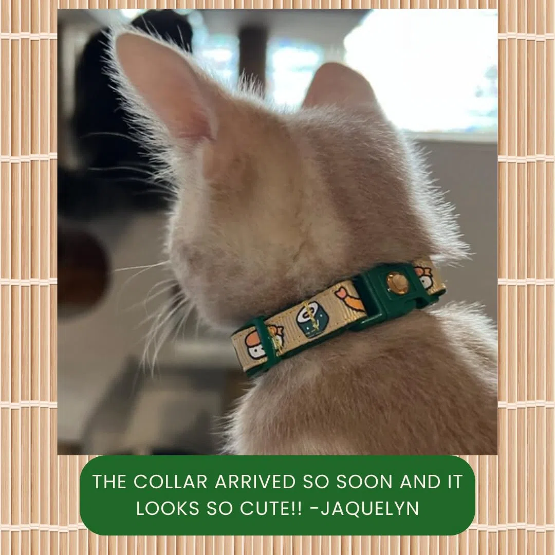 Collar de gato de sushi con campana de onigiri, tamaño grande ajustable o collar de gatito, collar de seguridad (grande (10 libras en adelante), jengibre)
