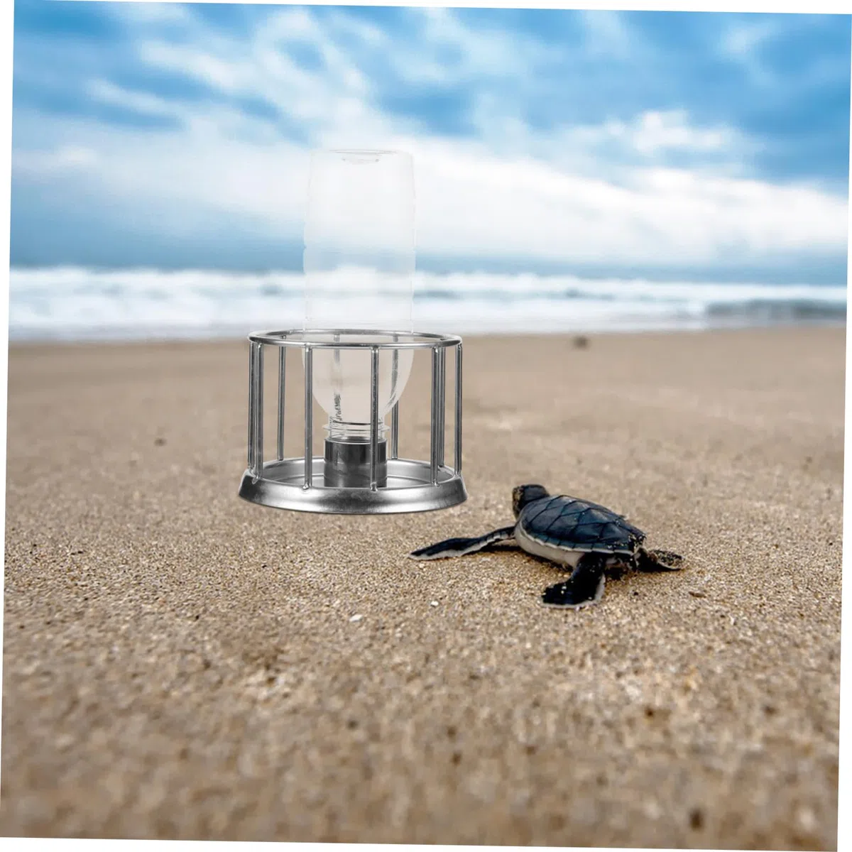 BESPORTBLE 4piezas Mini Comedero De Agua para y Reptiles Cuenco De Acero Inoxidable para Terrario Alimentador Multifuncional para Mascotas Pequeñas para y Lagartos