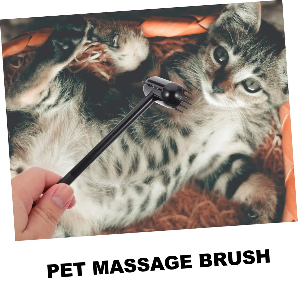 FRCOLOR 4piezas Cepillo De Masaje Para Mascotas Rascador y Limpiador De Pelo Cepillo De Relajación Para Gatos y Perros Hecho De Seguro Olores Diseño Creativo