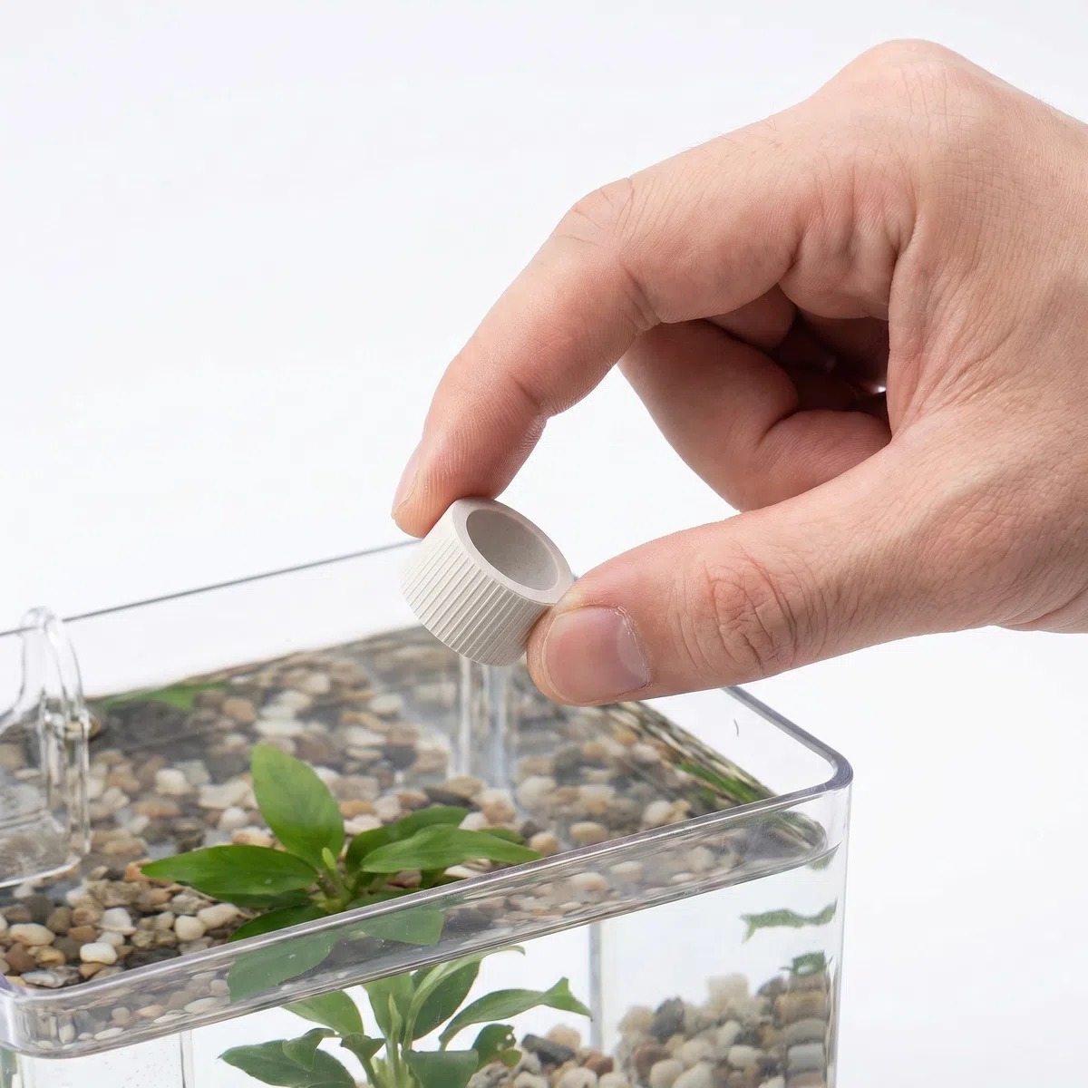 LALAFINA 30 Unidades Anillo Fijo para Acuario de Cerámica para Plantas Acuáticas Instalación Simple y Versátil, Adecuado para Acuarios y Tanques de Agua Salada