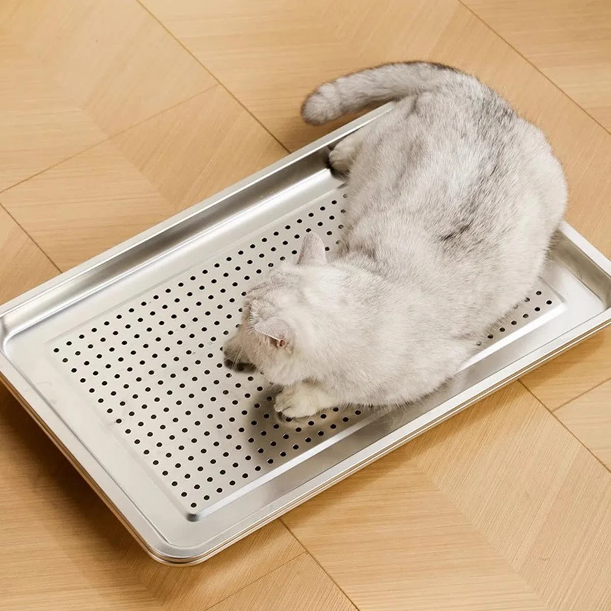 Cama refrescante para perros, transpirable, de acero inoxidable, con 6 camas