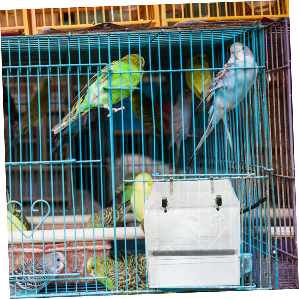 Alimentador Automático Más Grande Interior Alimentador De Aves para Ventana Largo Comederos para Pájaros Comedero para Pájaros para Jaula