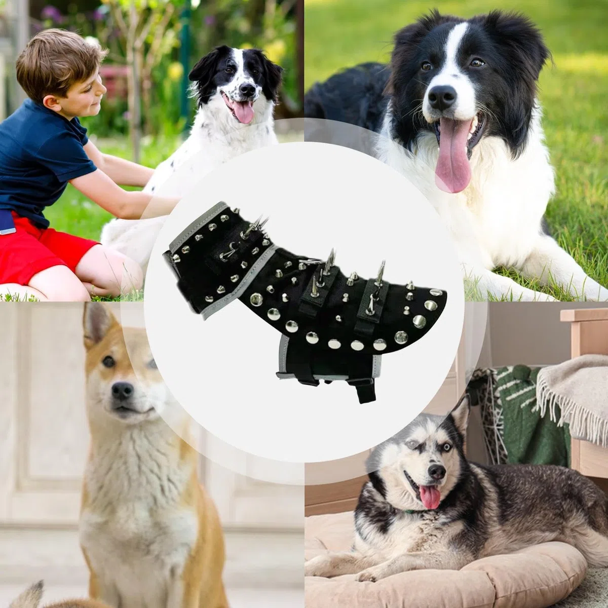 Chaleco con Púas para Perros Pequeños Protección Ajustable Reflectante