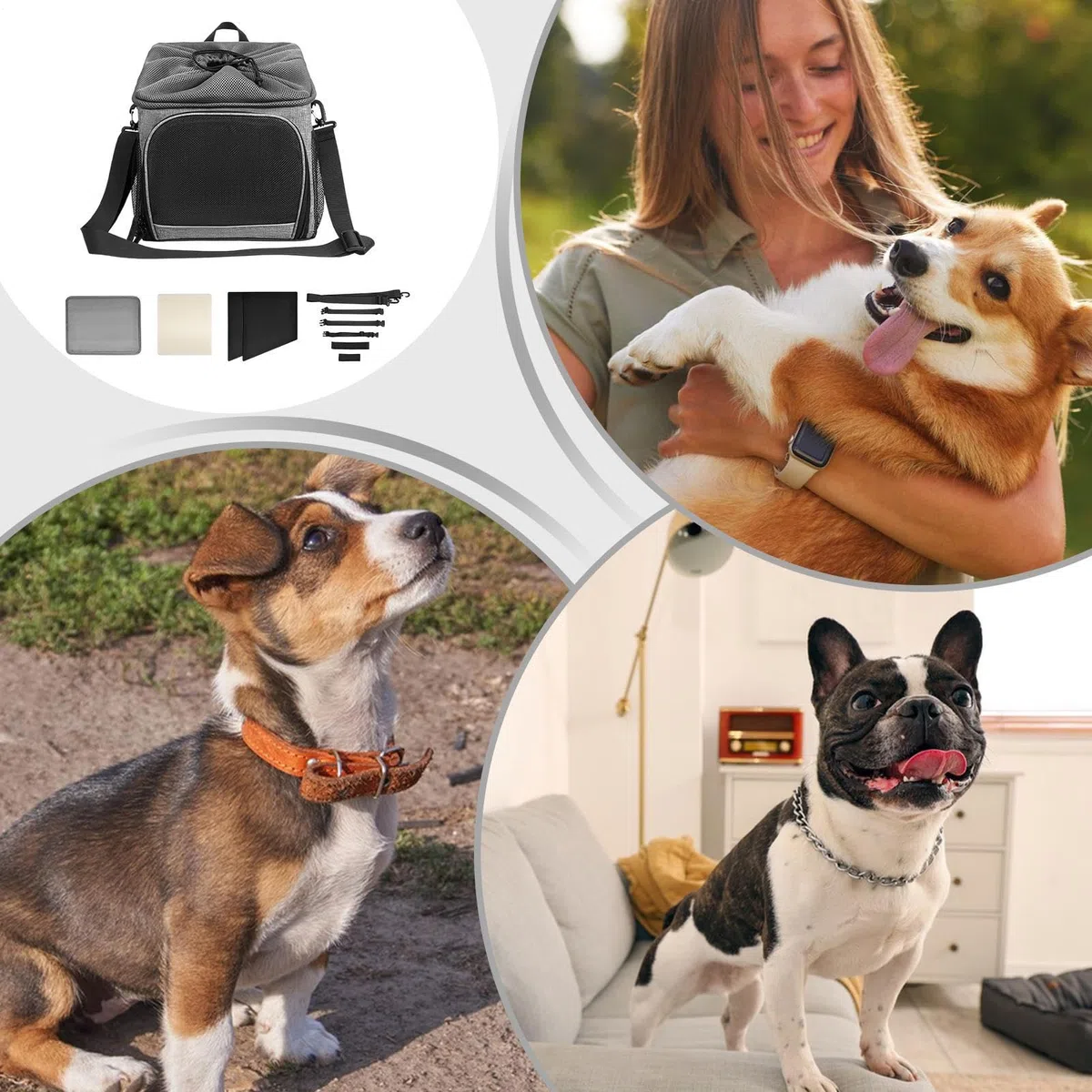 Transportín para Bicicleta Transportín Canino Transpirable | Accesorio Ligero Para Paseos Montaña Acampada Aventuras Playa
