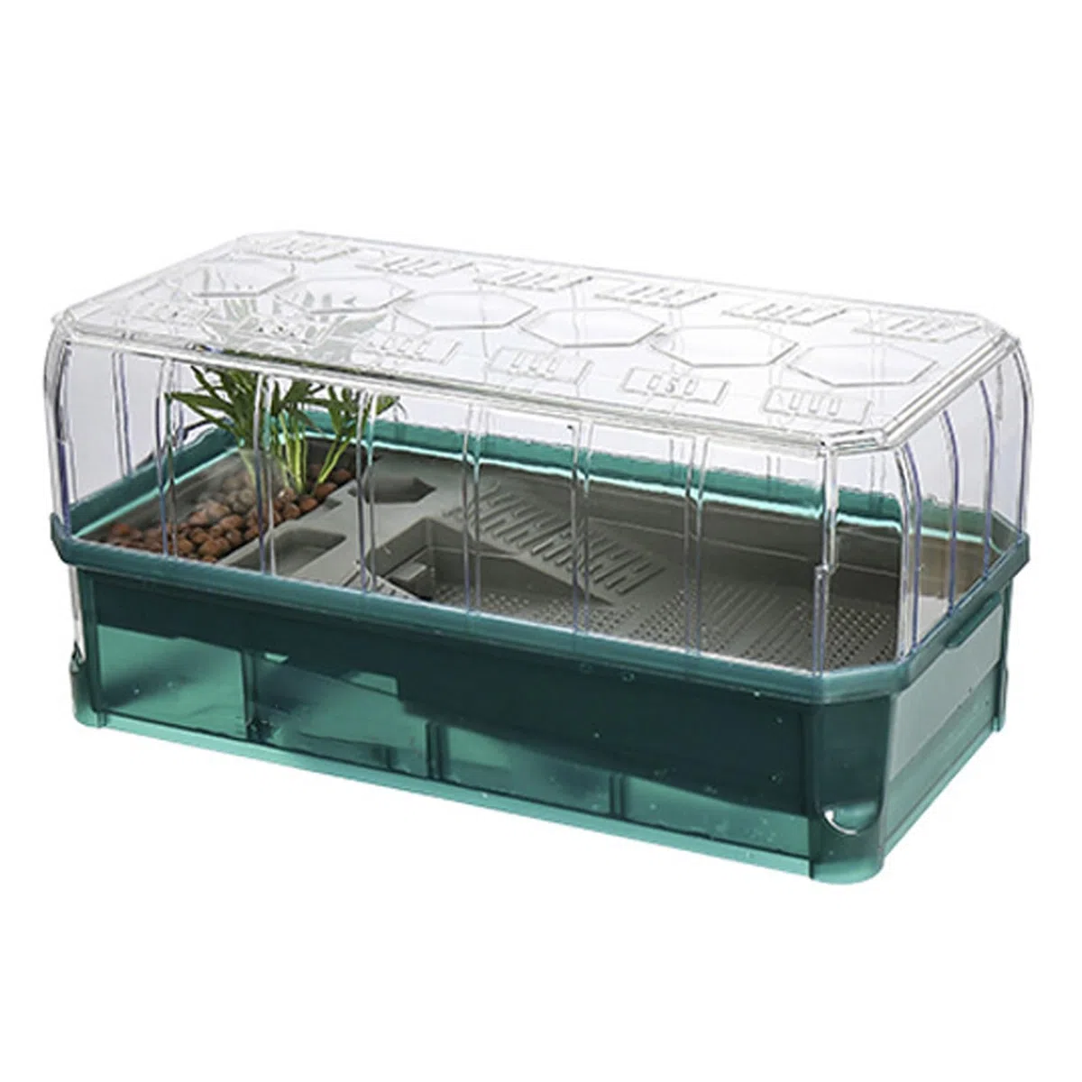 Terrario Tortugas de Tierra | Terrario Reptiles y Anfibios | Acuario Tortuga Set Completo con Filtro de Agua para Ducha | Tanque para Hibernación de Tortugas | Fácil de Cambiar y Limpiar(Green Without
