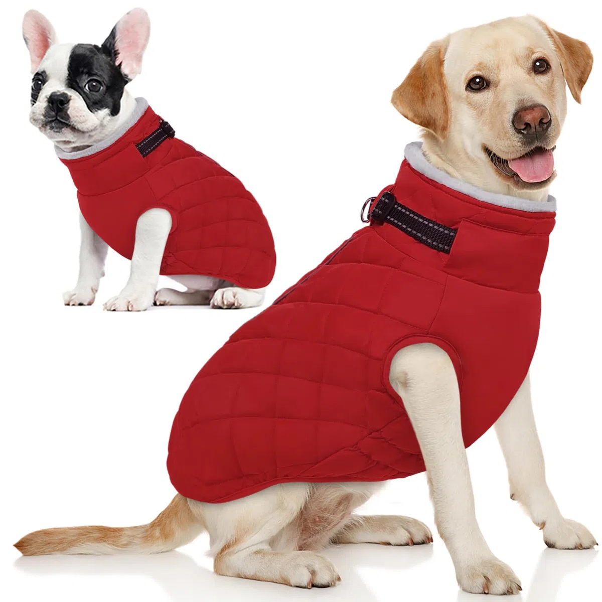 AOFITEE Chaqueta de invierno para perros grandes, abrigo impermeable con cremallera trasera, abrigo reflectante para perro, traje de nieve para perro, abrigo cálido de invierno para perros grandes,