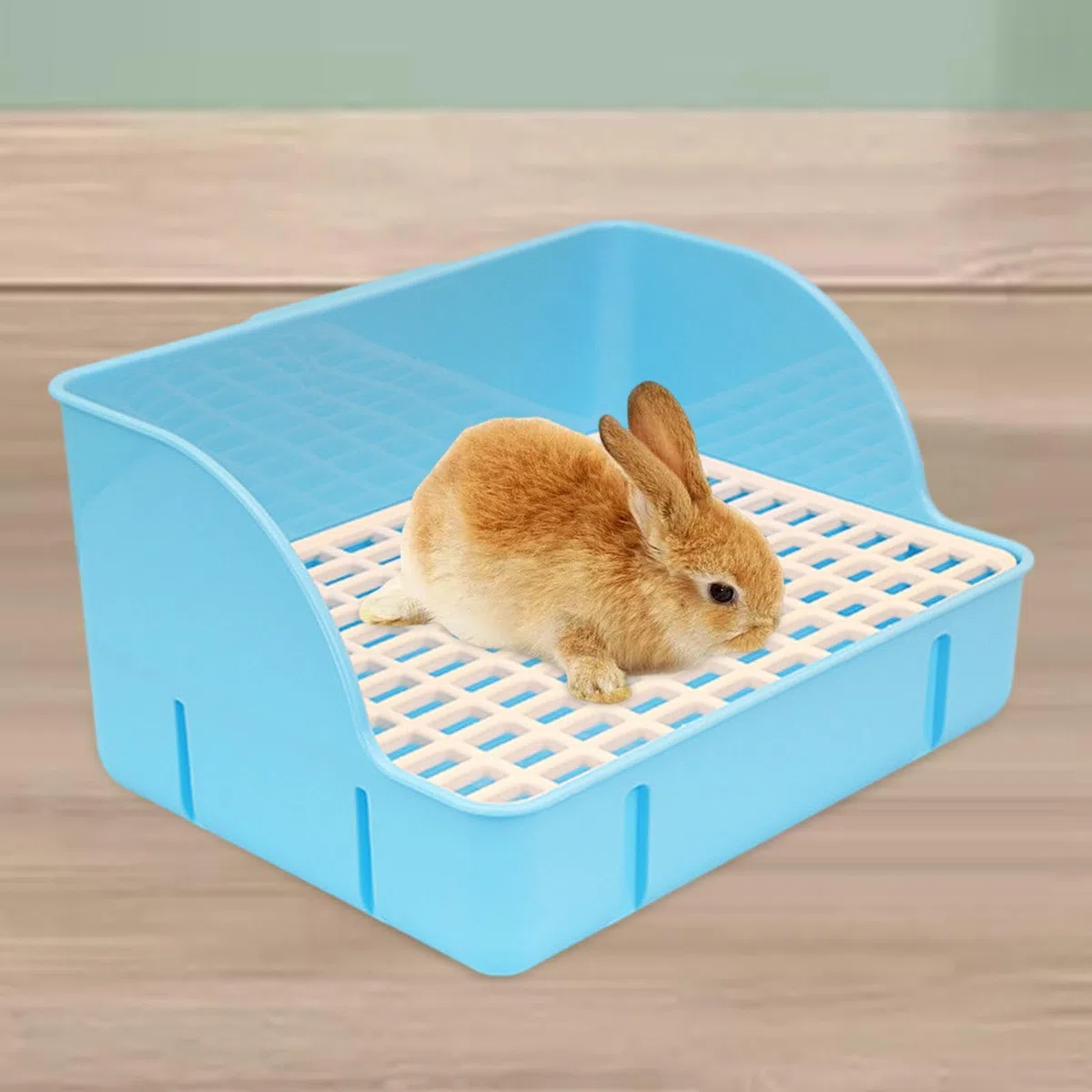 Arenero para Gatos para Jaula, Arenero para Jaula, Bandeja de Arena con Diseño, Arenero de Esquina para Cobayas Y Chinchillas, Malla de PP Azul