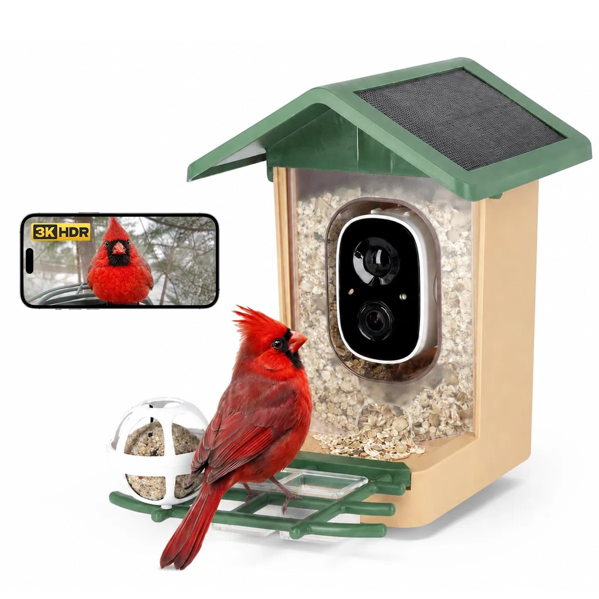 Comedero Inteligente Pájaros, Rollei Smart Bird Feeder 3K Comedero Pajaros | Solar con Cámara Exterior AI Reconocimiento de 10000 Pájaros Impermeable IP65 Visión Nocturna LED Audio Bidireccional