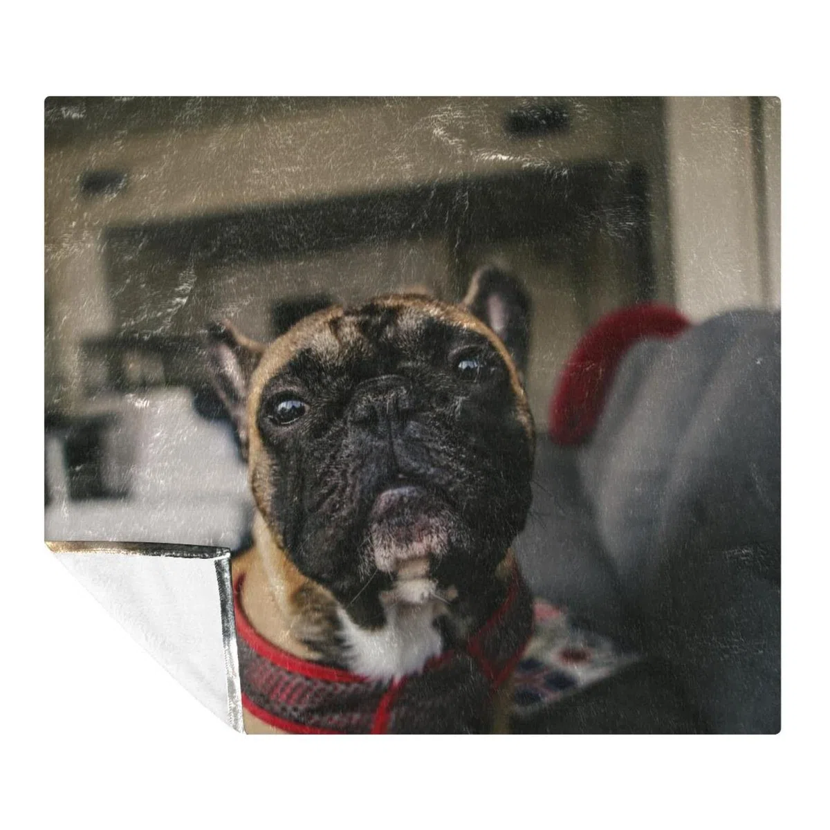 Manta de forro polar con patrón de perro y cachorro