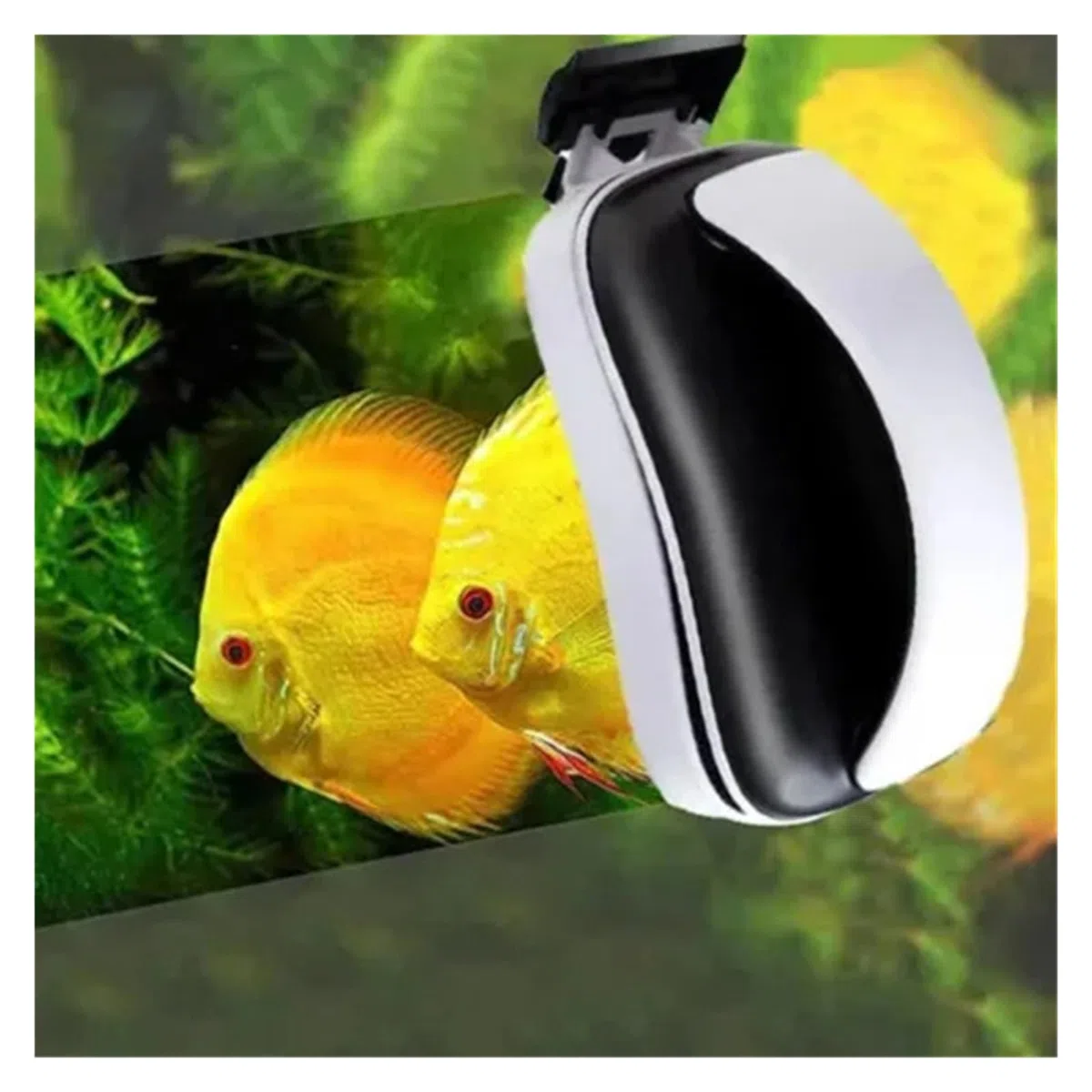Pengchang Limpiador raspador de Algas for pecera de Vidrio for Acuario, Cepillo Flotante magnético Fuerte