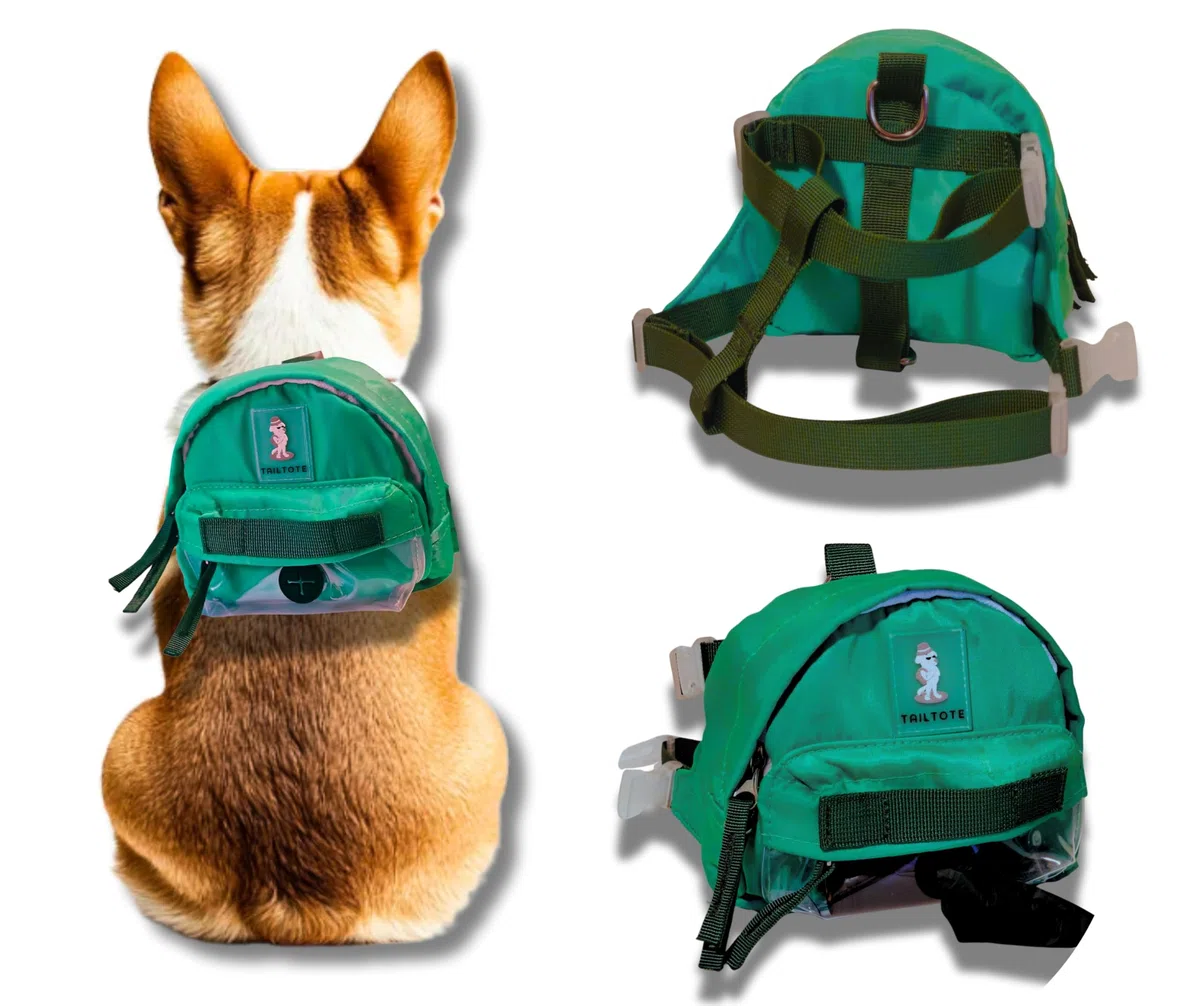 Mochila de senderismo para perros, ligera, ajustable y resistente al agua, ideal para aventuras al aire libre, entrenamiento de cachorros o paseos diarios (pequeño)
