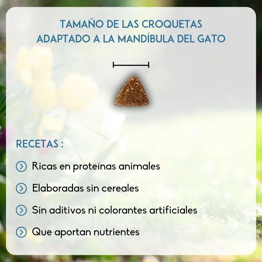 NUTRIVET - INNE Chat - Croquetas sin Cereales - Gato Adulto - Pescado - 80% Ingredientes de Origen Animal - 6kg