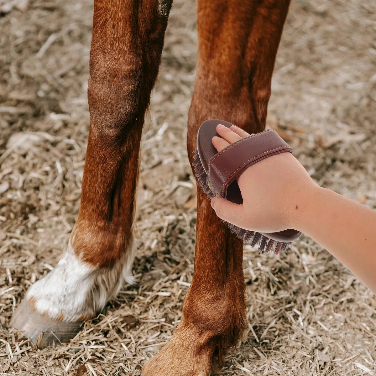 Artibetter Cepillo de Limpieza con Mango de Madera para Caballos Cepillo Ecuestre con Función de Masaje Cuidado Diario y Preparación de Shows