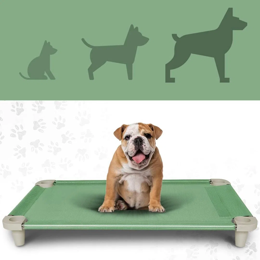 Acrimet Cama Elevada para Perros, Malla Lavable y Transpirable, Estructura de Acero Inoxidable, para Uso Interior y Exterior (Tamaño: 102 x 61 x 11cm) (Color Verde) (1 Unidad)