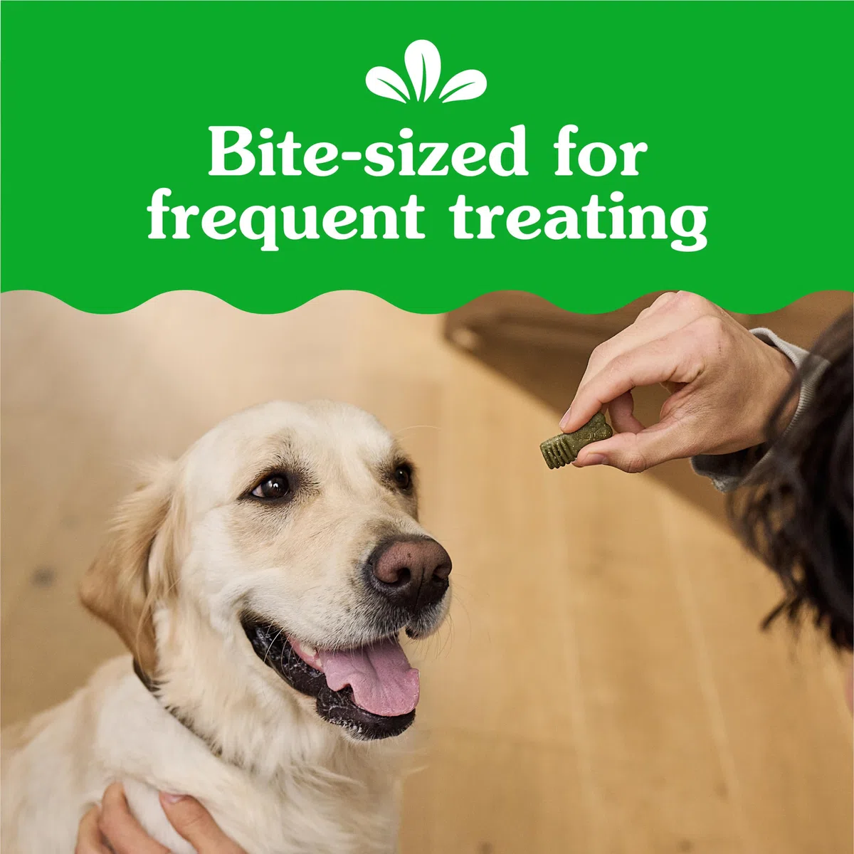 GREENIES Anytime Bites - Golosinas para Perros, Sabor a Menta, Bolsa de 24 onzas