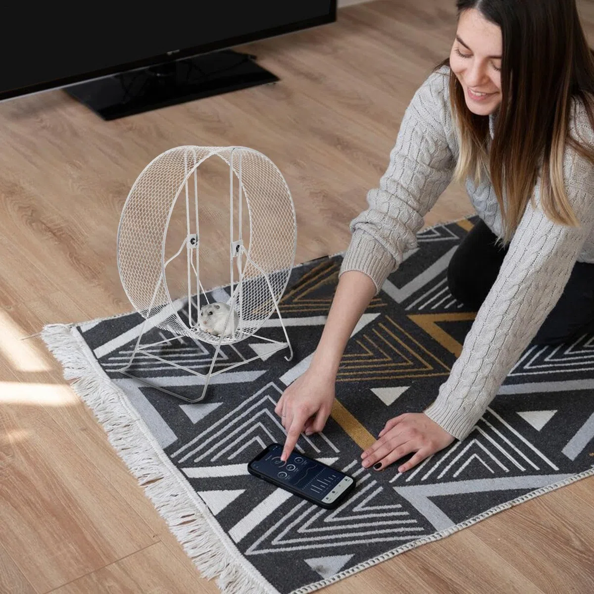 Silent Sports - Rueda para hámster silenciosa para hámsters, ruedas de | ejercicio para hámster, ratones, jerbos