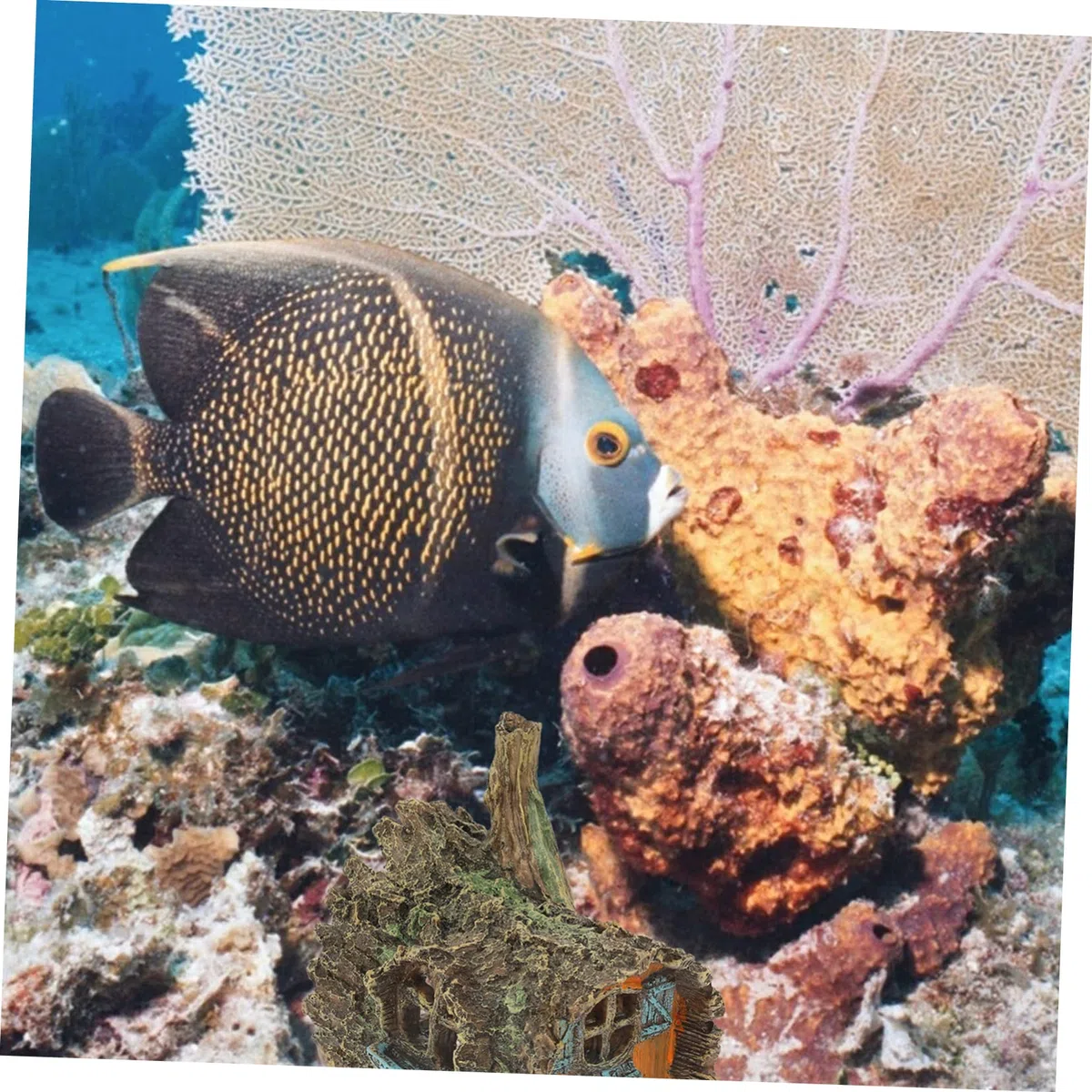YARNOW 3 Piezas Decoración De Pecera Planta De Acuario Falsa Escondite Esponja Madera a La Helecho Neón Pegatina Flotante Decoraciones De Peceras Neto Cueva Casa Resina