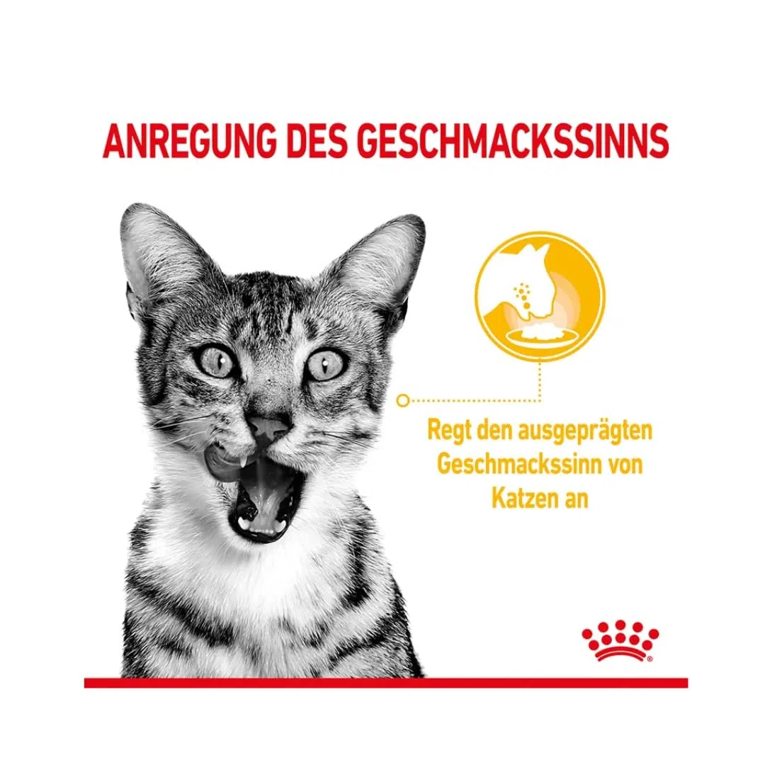 Royal Canin Sensory Multipack | Pack de 4 | 4 x 12 x 85 g | Alimento Completo para Gatos Adultos | Olor, Sabor, Sensación