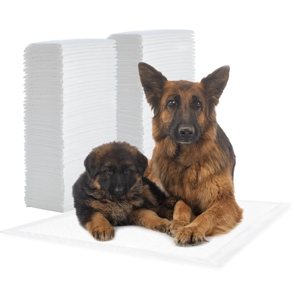 Iris Ohyama, Almohadillas para Cachorros / Adiestramiento, Alfombrillas superabsorbentes para incontinencia en el baño, para Perros y Cachorros de hasta 35kg - Pet Pad NS-100 DW, Blanco