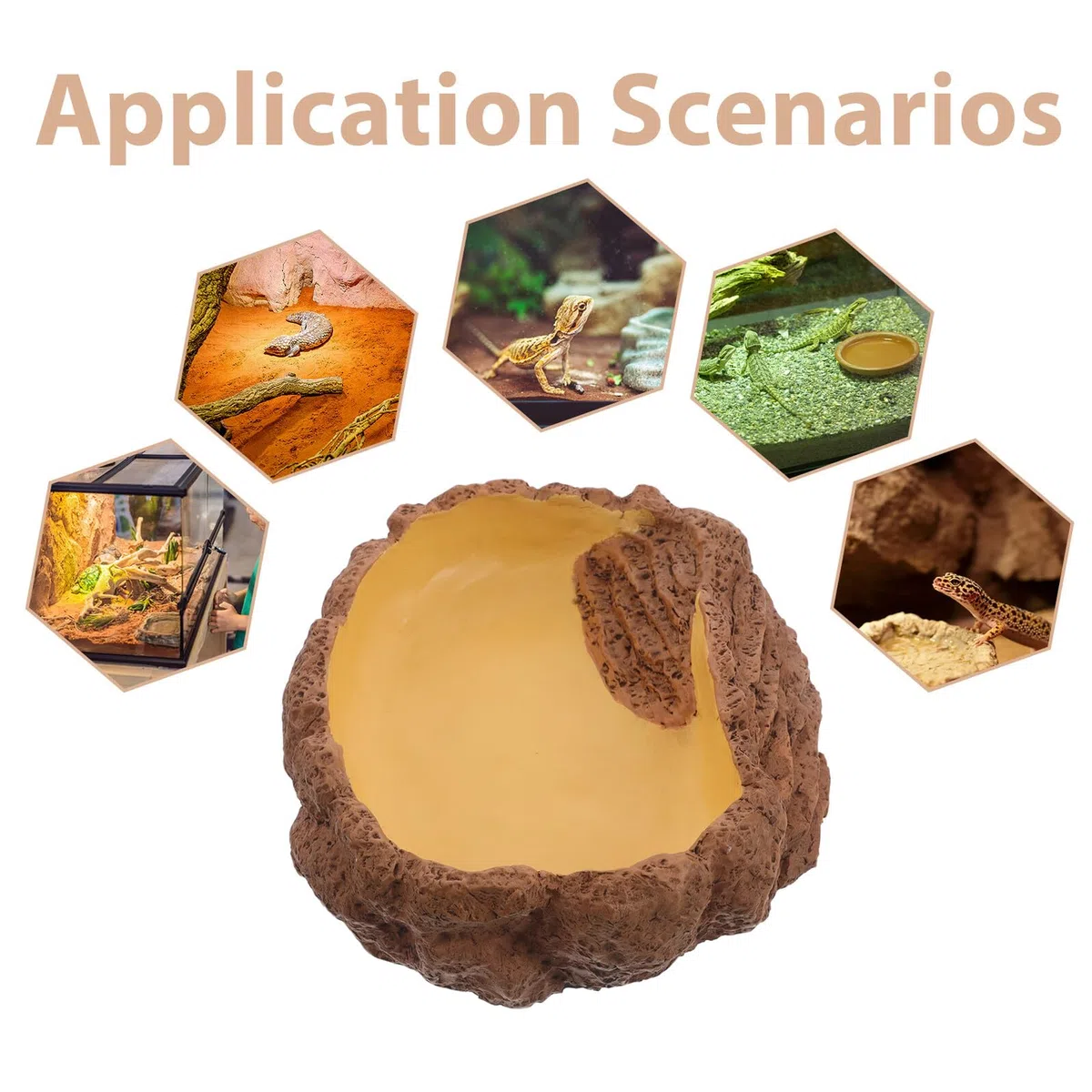 TOYANDONA Cuenco de Resina para Reptiles Diseño Único de Entrada, Fácil de Limpiar, Plato de Agua y Comida para Tortugas y Ranas en Terrarios Estilo Natural