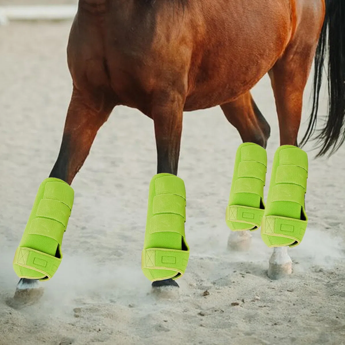 4 Piezas Protectores Piernas Caballo Botas Envolturas Almohadilla Neopreno Suaves Adecuadas para Y Paseos, Verde Claro, m