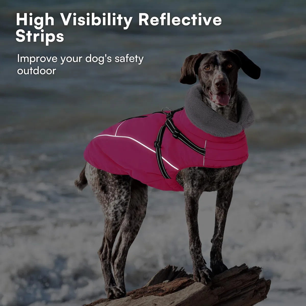 Queenmore Abrigo Perro Impermeable con Arnés | Abrigo Invernal con Forro Polar para Perros Grandes | para Clima Extremo Razas Gigantes(Rosa, 3XL)