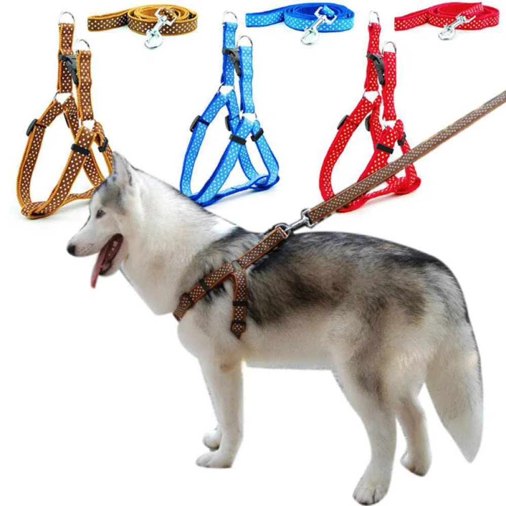 Conjunto de Correa for Perro, arnés Estampado, arnés y Correa for Perro pequeño, for pasear Gatos, 3 m,Bolso para Perros(2,M)
