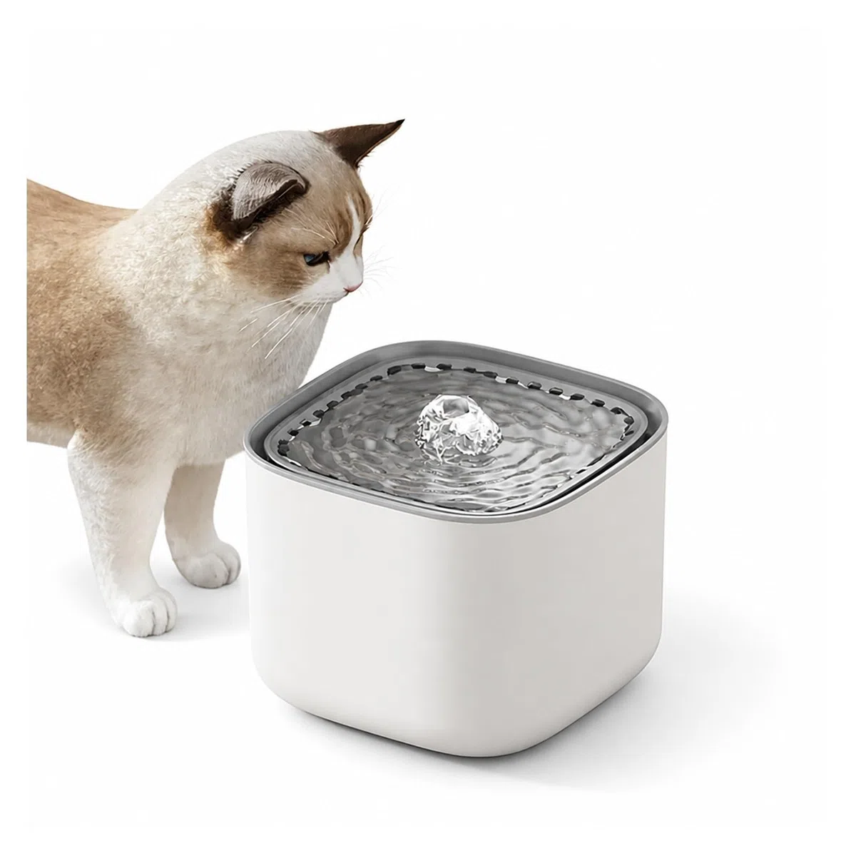 Fuente De Agua para Gatos 3L USB Eléctrica | Plástico, 17,9 X 13 Cm, 2 Colores(Gold Border-White)