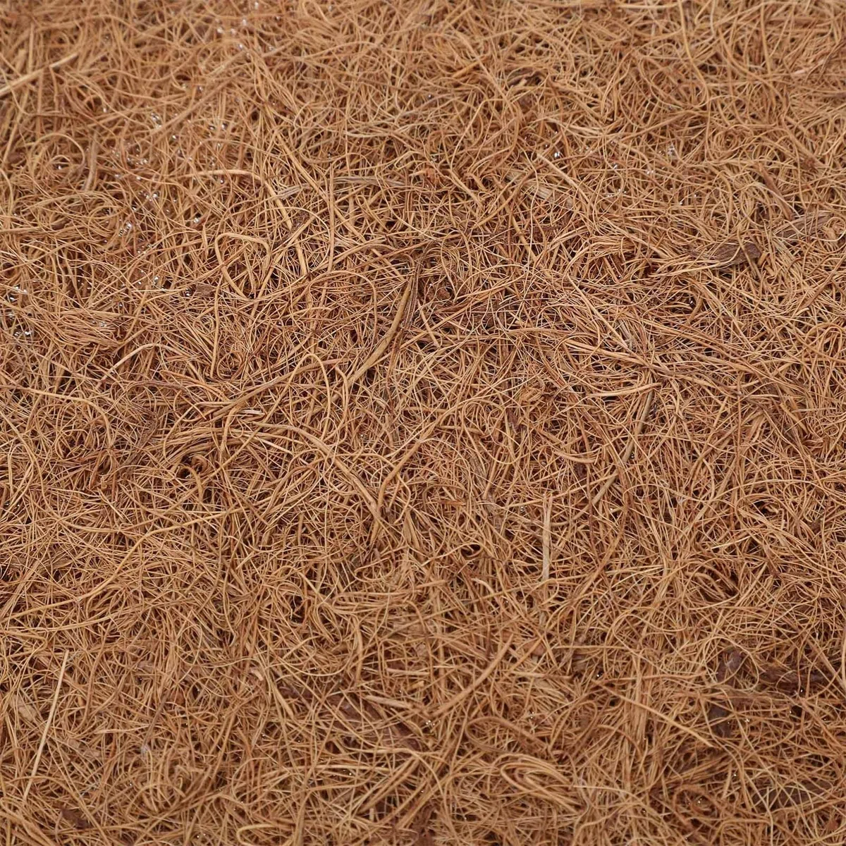 Kisangel Estera de Fibra de para Tanque de Reptiles Paquete de 4 Suministros para Dragones Barbudos Hábitat Seguro Y Cómodo