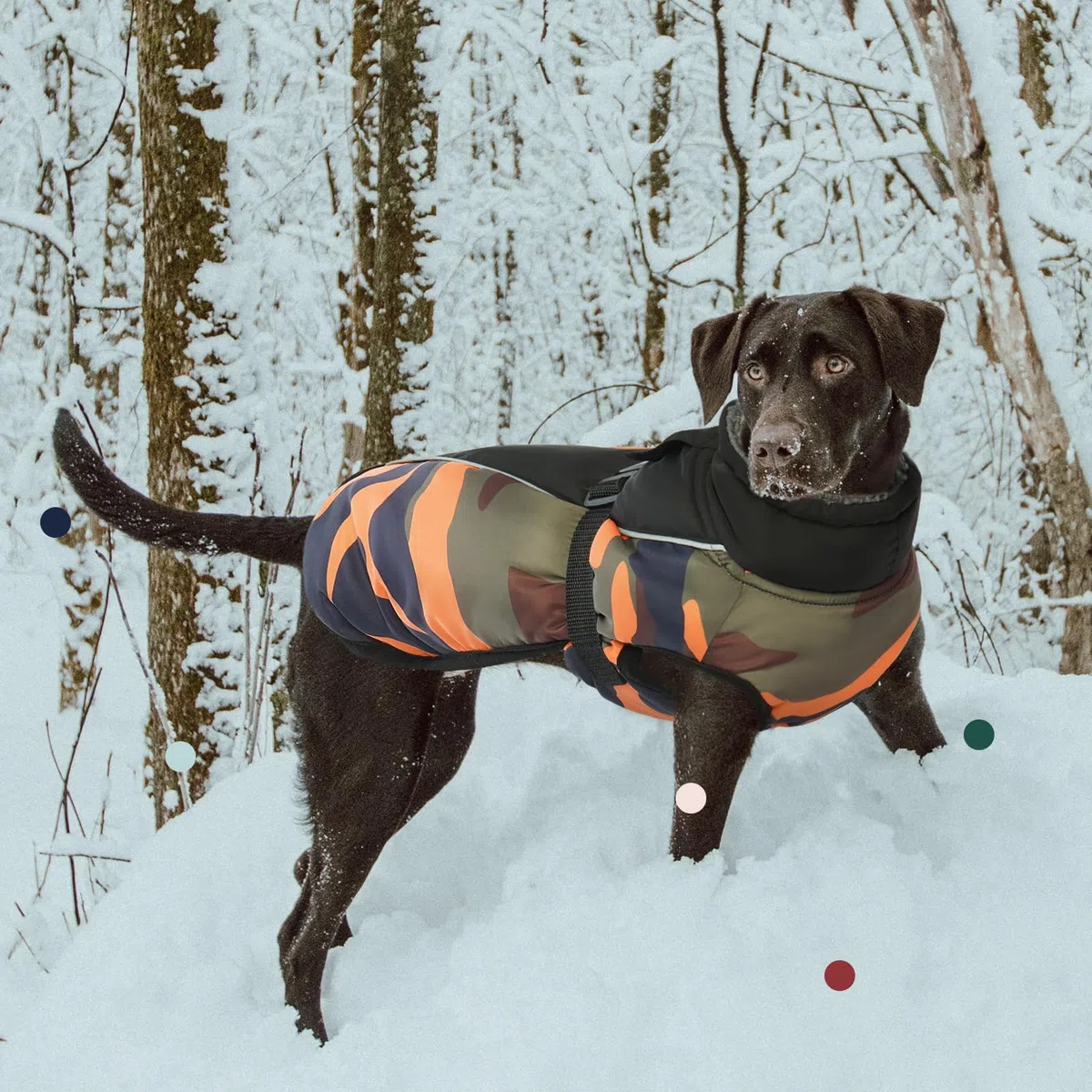 IECOii Abrigo extra cálido para perro, reflectante, ajustable, abrigo de invierno para perro con hebilla, chaqueta de forro polar con cuello alto para clima frío, abrigo de invierno suave para perros