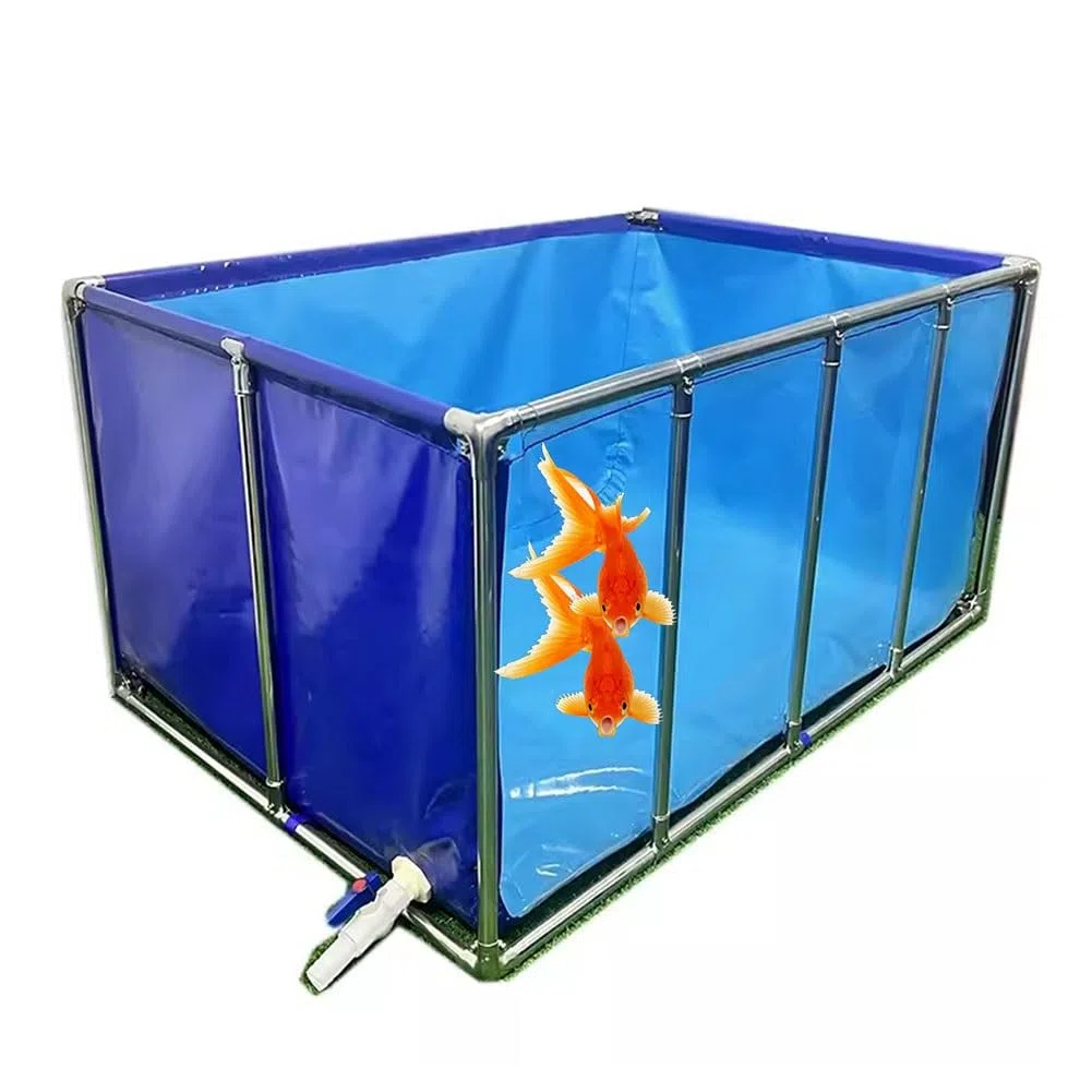 Acuario grande plegable con soporte de metal, ventana transparente de visualización para Koi Breeding Easy Installation Pool Pond 150 x 80 x 61 cm diseño azul y transparente