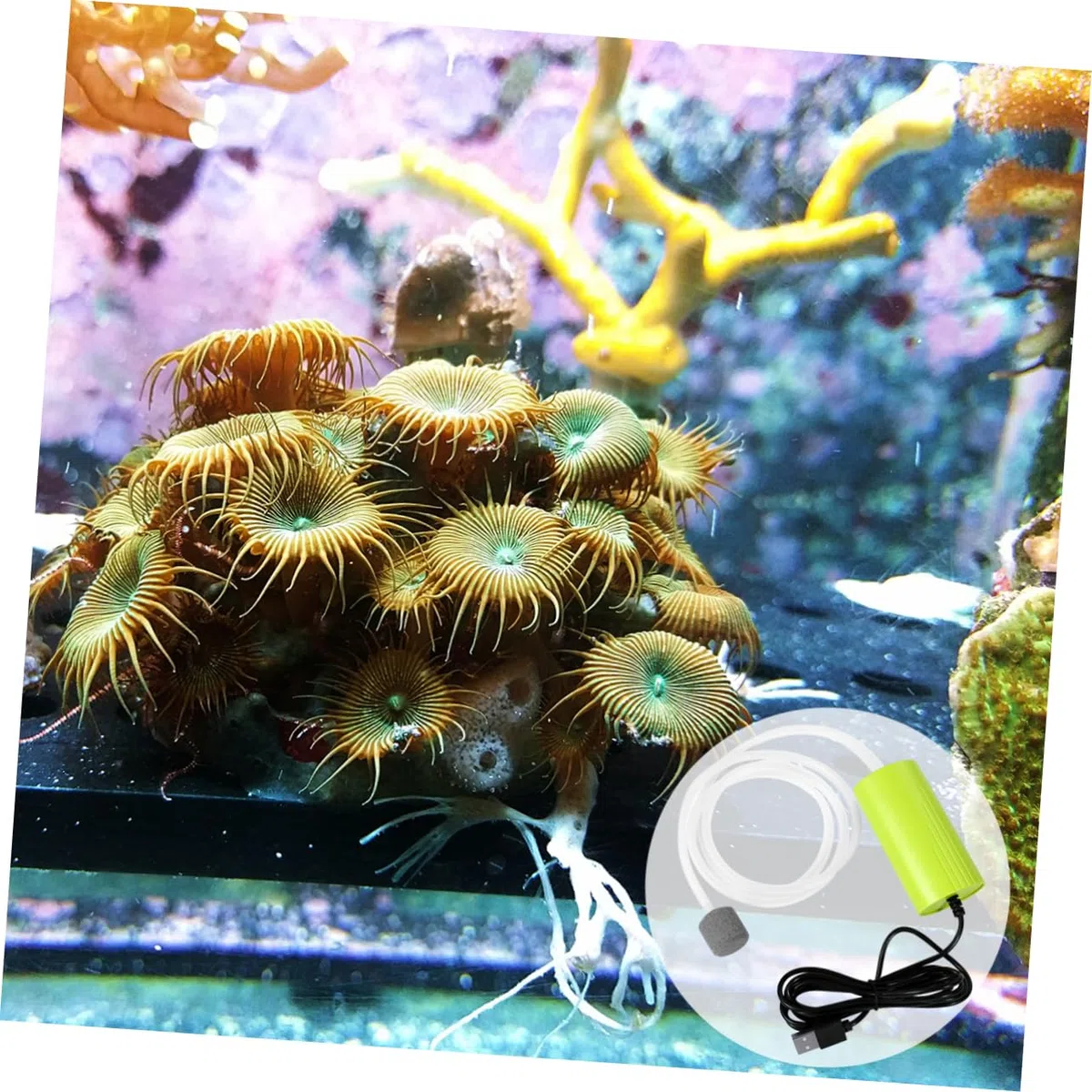Mipcase 3piezas Bomba De USB Portátil para Acuarios Mini Silenciosa y Aumenta El y Produce Burbujas para Peceras y Pesca Al Aire