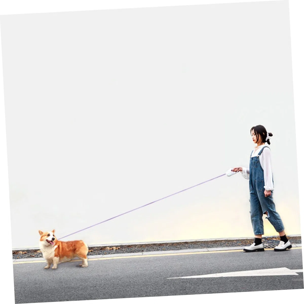 Correa Automática Retráctil para Perros Luz Led y Asa Antideslizante Cuerda Duradera y Resistente para Paseos y Entrenamientos Al Aire Metros