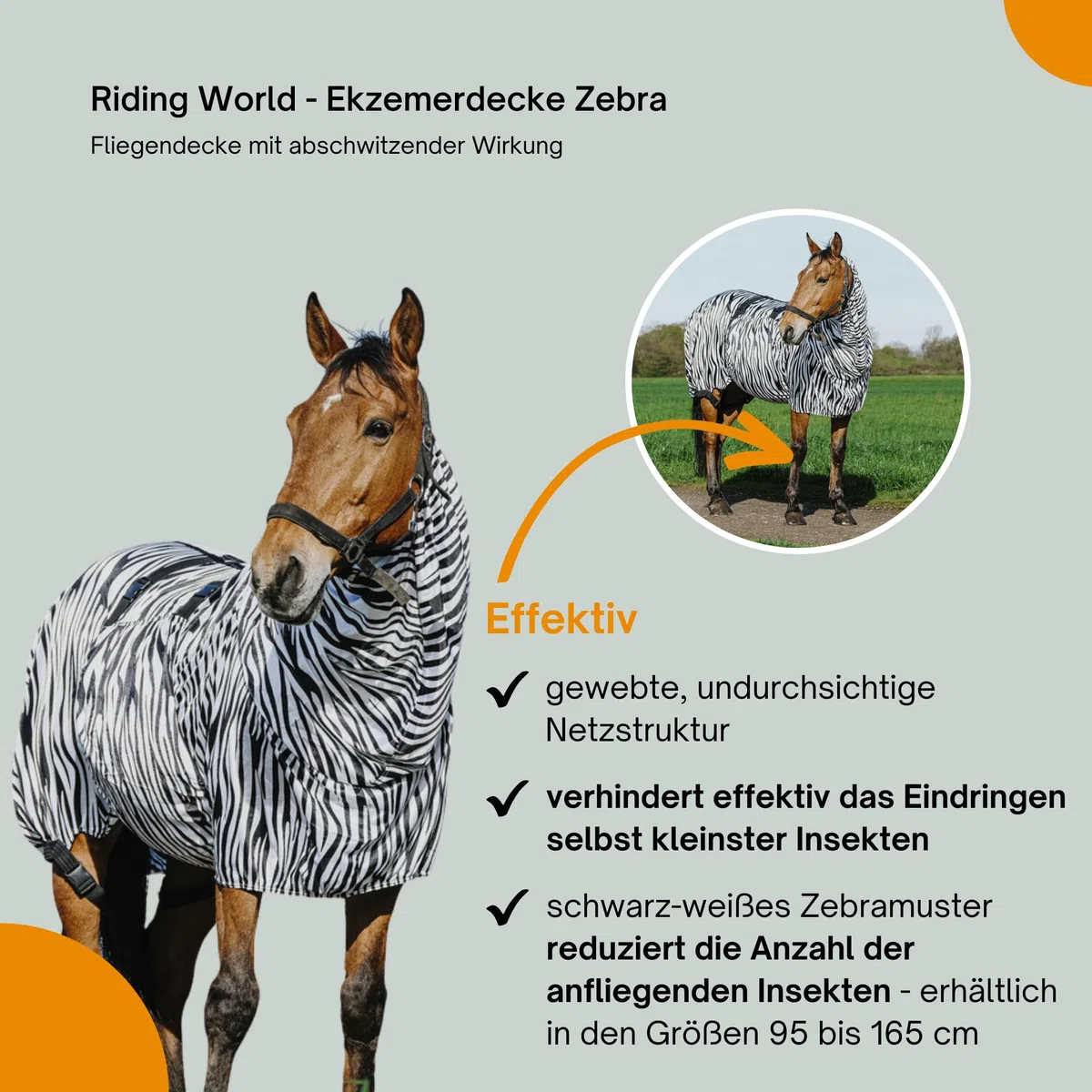 Manta Riding World Anti-Eczema con Diseño de Cebra 125CM