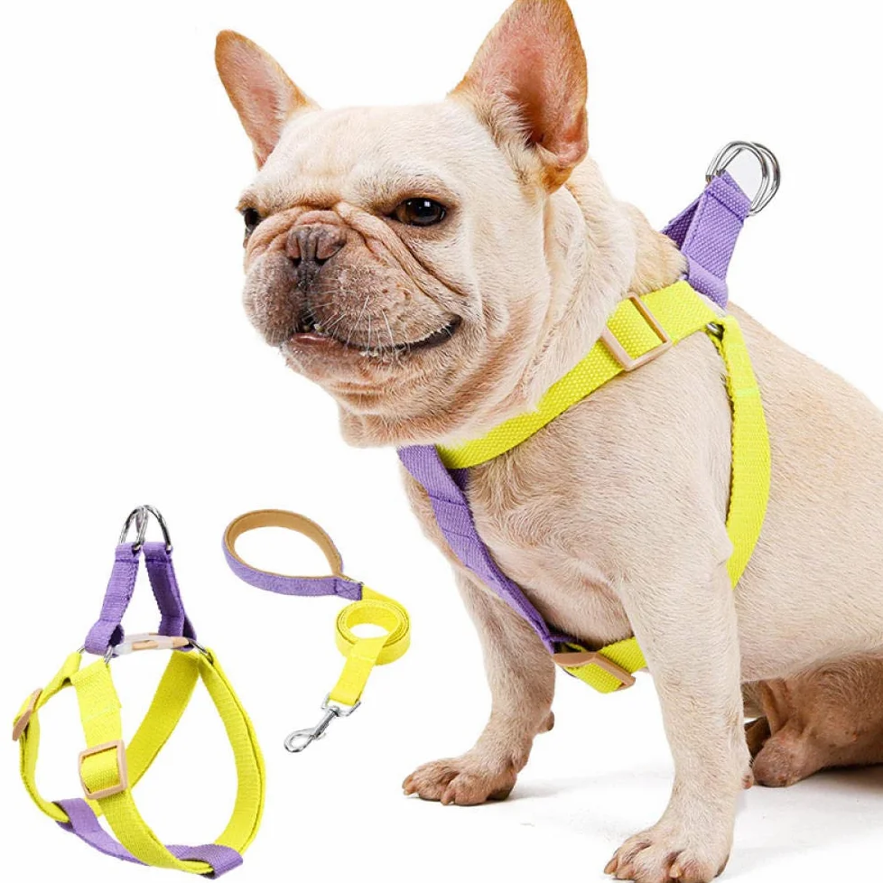 con arnés y Correa for Perros pequeños, de Nailon antitirones, Juego Collar GL(C,L)