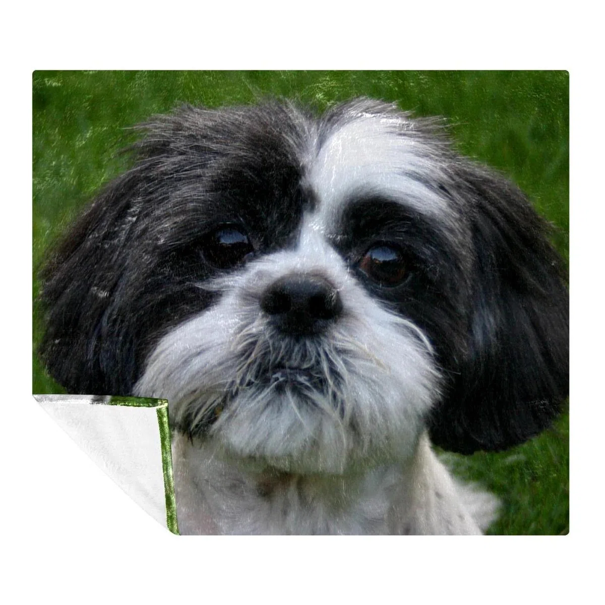 Manta de forro polar, súper suave, lujosa manta de cama Shih Tzu perro cachorro