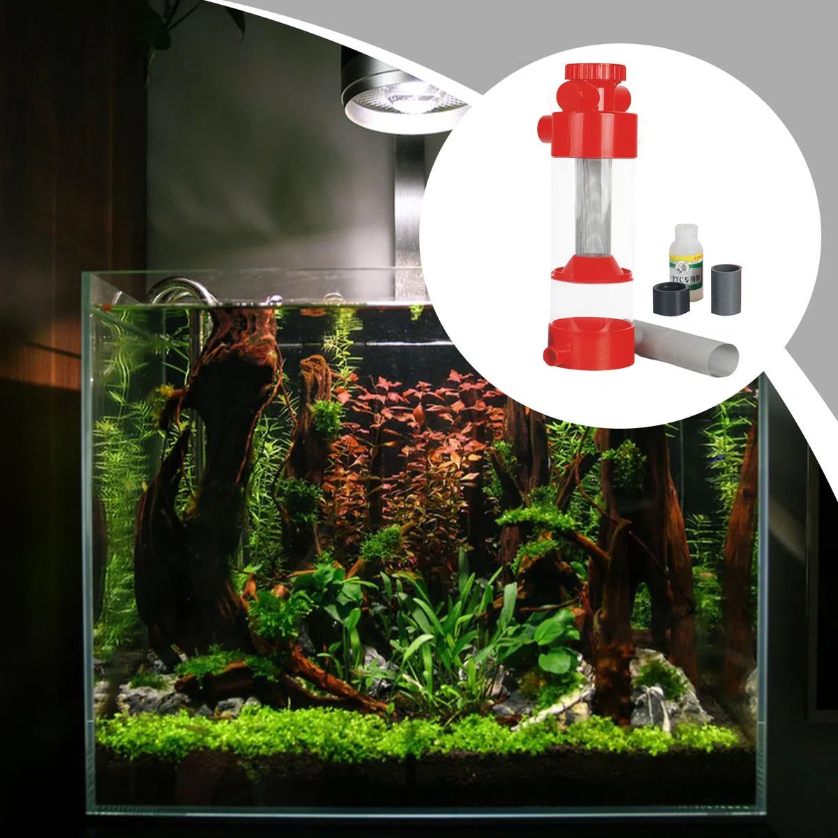 Filtro Recogedor de Cacas de Peces Separador Filtro de Excrementos para | Equipo de Limpieza, Separador Externo para Filtración de Acuario Betta y Gambas