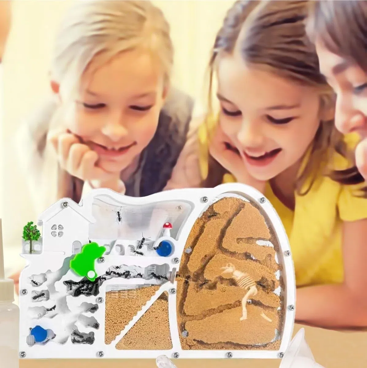 Nido Hormigas Casa Insectos Pet Castillo De Hormigas Arena Hábitat con Excavación Dinosaurios para Estudiar El Comportamiento del Ecosistema La Colonia Educativo Kit Hormiguero(Oranje)